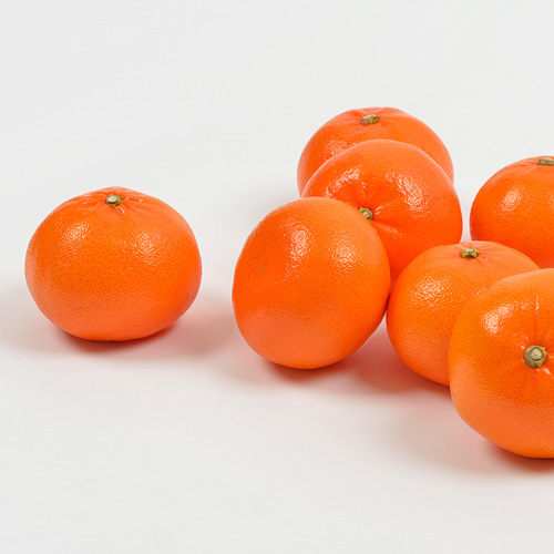 산하홍(빨간귤) 5kg (서귀포 산하홍 산지 직송)