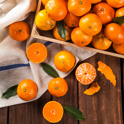 조생감귤 10kg 중대과