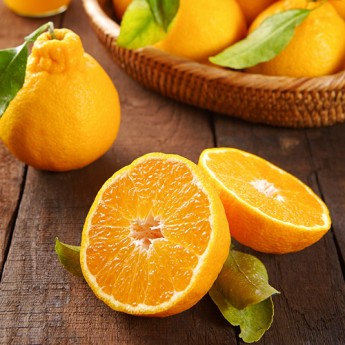 제주 한라봉 5kg 19~22개