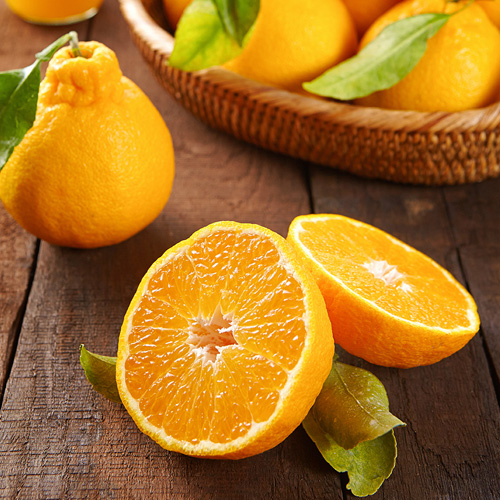 제주 한라봉 10kg 38~42개