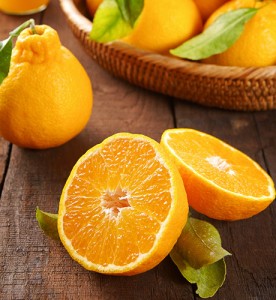 제주 한라봉 10kg 38~42개