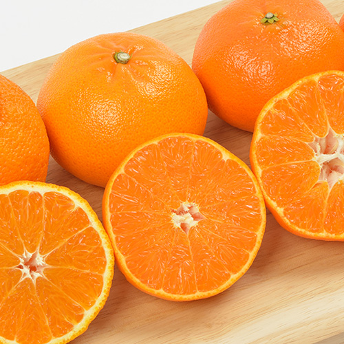 제주 레드향 10kg 가정용