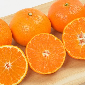 제주 레드향 5kg 가정용